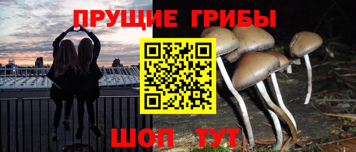 дарнет шоп  Вход с VPN  Краснодар  Псилоцибиновые грибы прущие грибы 